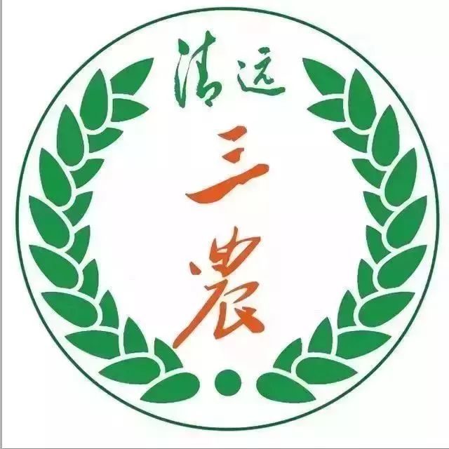 世界杯竞彩停售,竞彩比赛突然停售