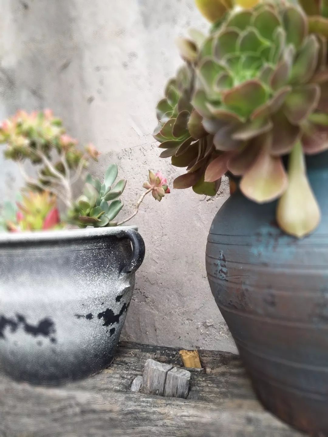 家里摆放凌乱废旧物品,家里的这些旧物别急着扔