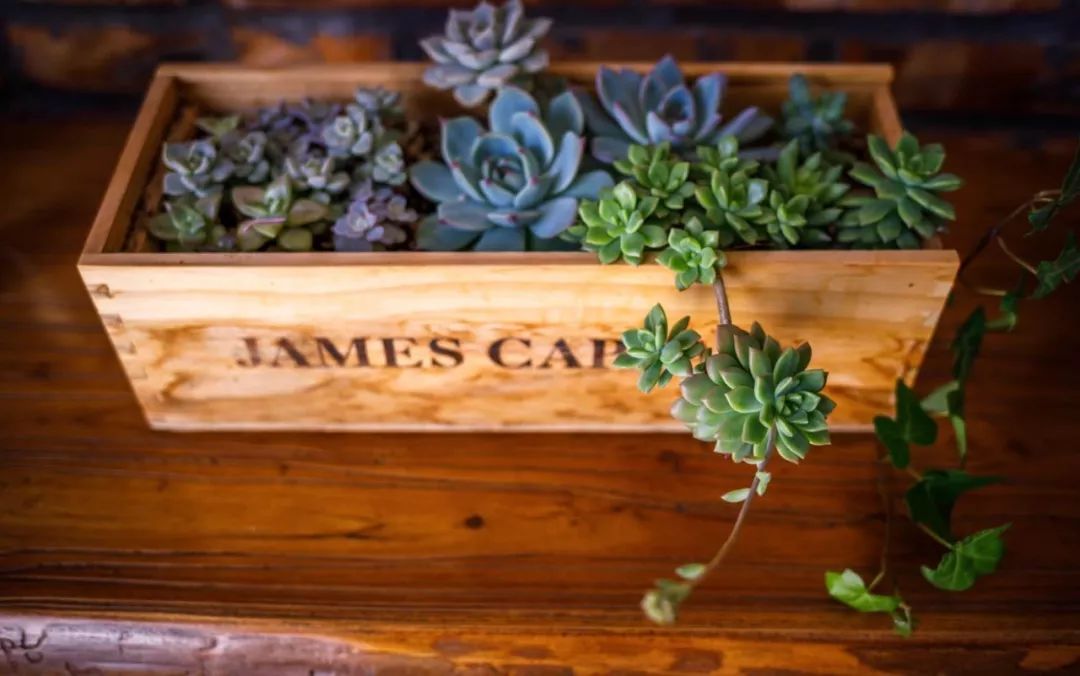 家里摆放凌乱废旧物品,家里的这些旧物别急着扔