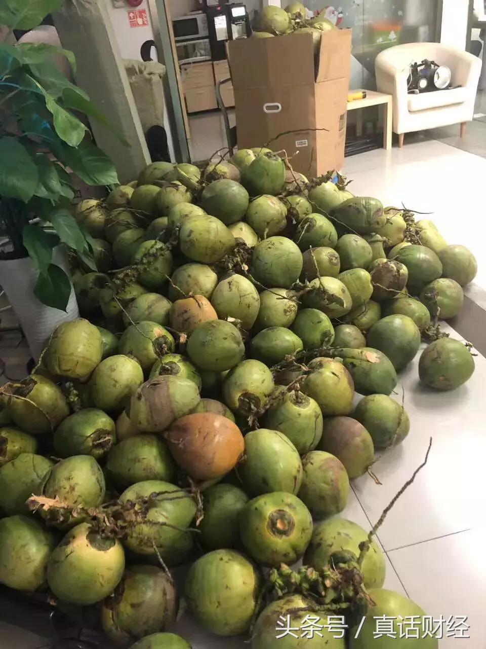 是时候说说自己的“身世”了