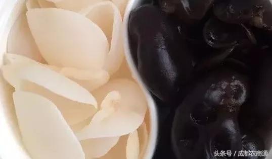 玉木耳种植前景如何,玉木耳生长条件