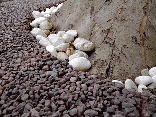 a5移动版手机参数,中国移动a5全面屏怎么样