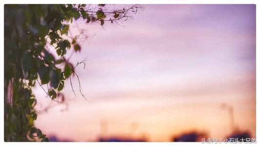 趣味小测试是什么命,趣味小测试100例