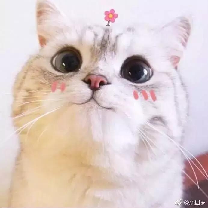 舒适靠谱美瞳品牌日系,安全好看美瞳