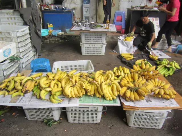 深圳吃喝玩乐攻略,2019深圳吃喝玩乐全攻略