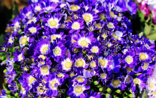 深圳吃喝玩乐攻略,2019深圳吃喝玩乐全攻略