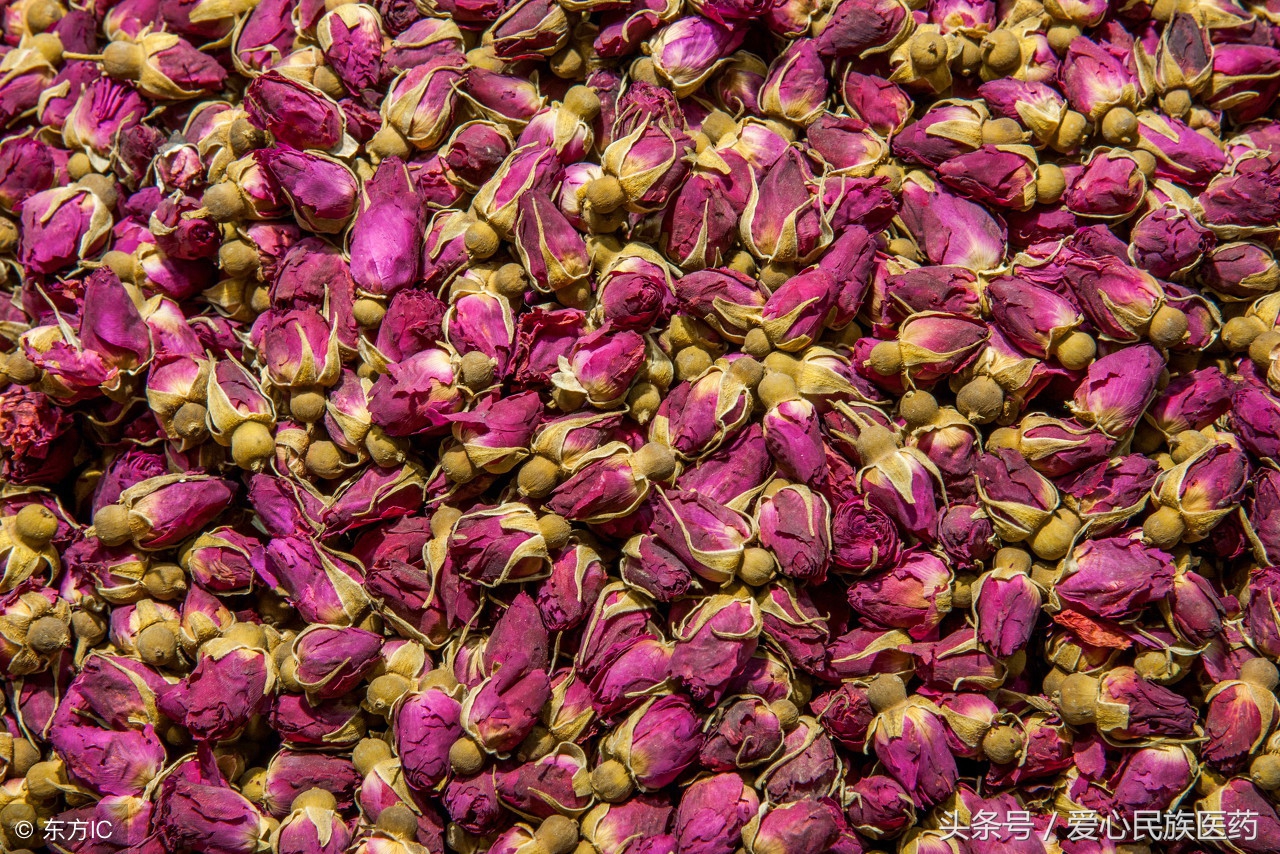 哪种花美容养颜效果最好,十种美容养颜花卉