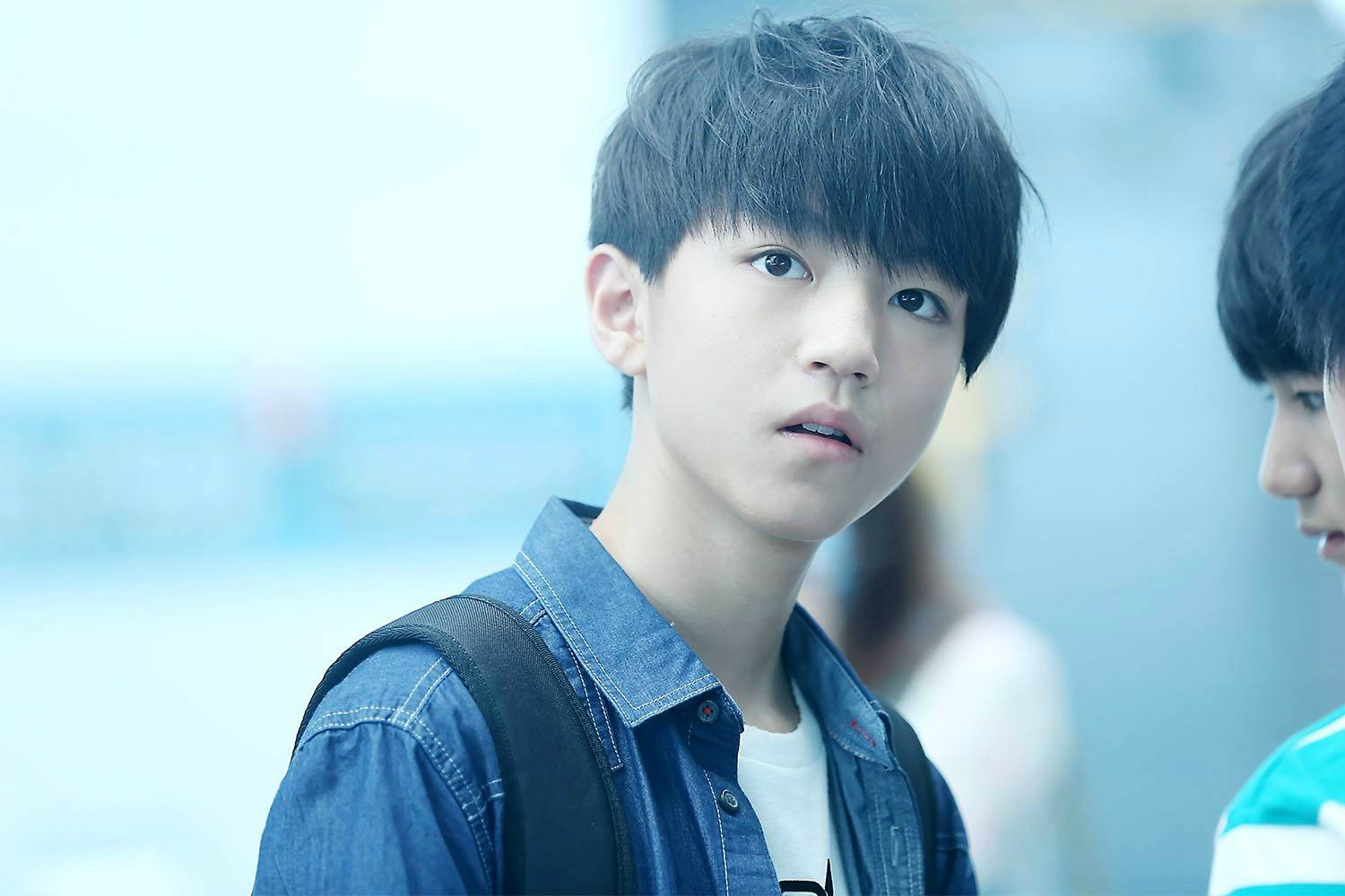 中餐厅赵薇苏有朋张铁林王俊凯,中餐厅第三季王俊凯和赵薇