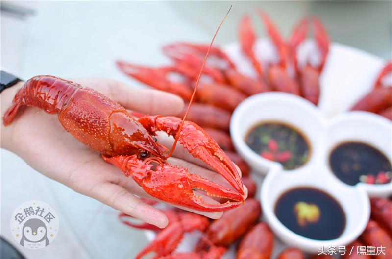 激情世界杯狂欢月，重庆主城这些餐厅有大屏幕可看球！