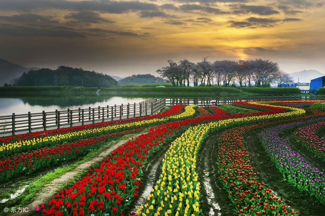 苏教版四年级数学期末复习知识点,苏教版四年级语文期末知识点总结