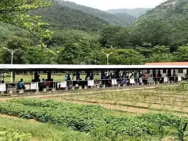 博罗天然瀑布玩水漂流的地方,博罗漂流攻略