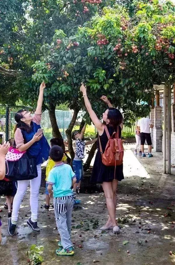 博罗天然瀑布玩水漂流的地方,博罗漂流攻略