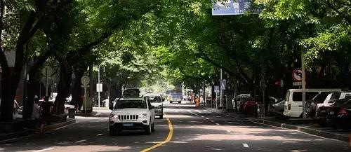 重庆婚纱拍摄地推荐,重庆旅游拍婚纱照的地方推荐