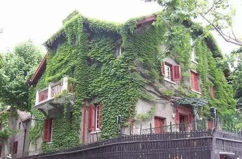 重庆婚纱拍摄地推荐,重庆旅游拍婚纱照的地方推荐