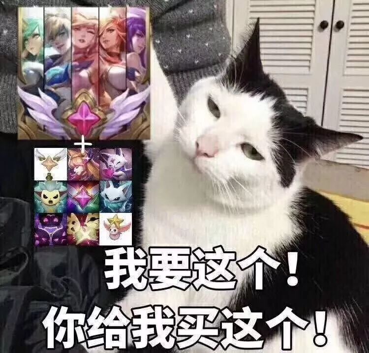 我好好的一个人怎么出国读个书就变代购了？