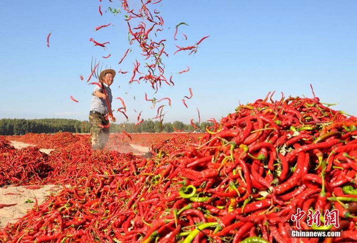国家节日放假各几天,每年国家法定节日放假多少天