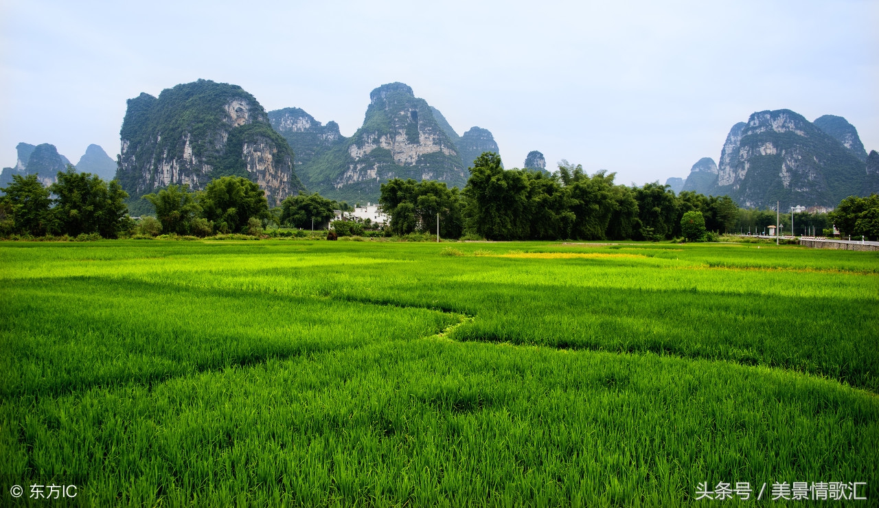 渐行渐远儿时的回忆,壮族的干栏式建筑