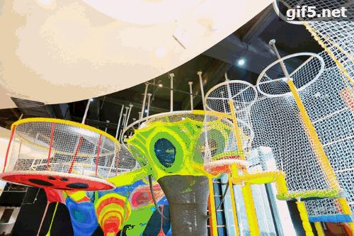 有球必应花果园,有球必应篮球公园