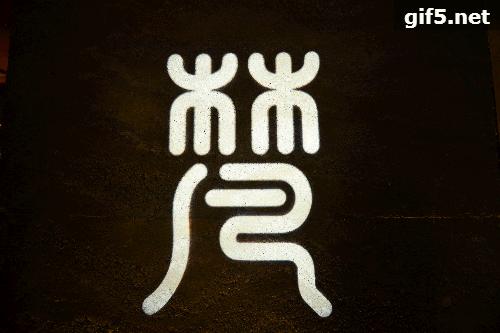 有球必应花果园,有球必应篮球公园