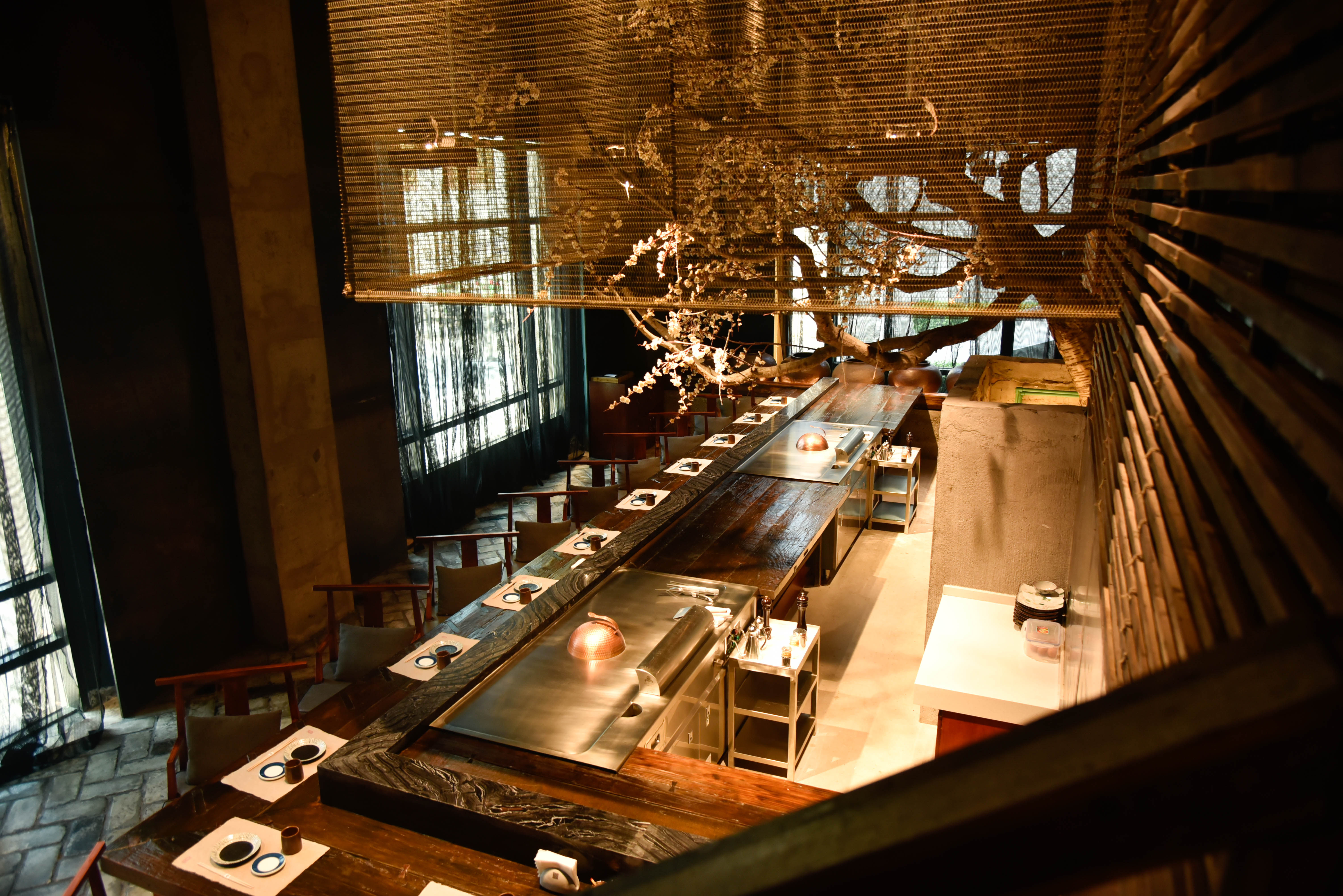 有球必应花果园,有球必应篮球公园