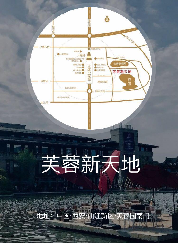 有球必应花果园,有球必应篮球公园