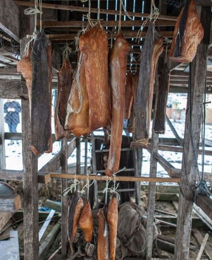 世界杯美食试吃,梅西世界杯前一天吃什么食物