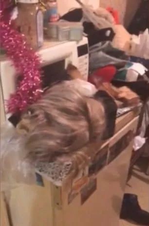 女性被人杀害的真实案例,少女被杀害的真实案例