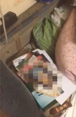 女性被人杀害的真实案例,少女被杀害的真实案例