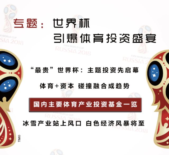 体育投资基金有哪些,体育产业投资基金