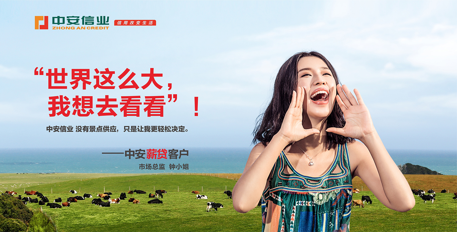 涓浗灏忛璐锋鍏徃鍏磋捣鍝勾,涓浗绗竴涓垚绔嬬殑鍏徃