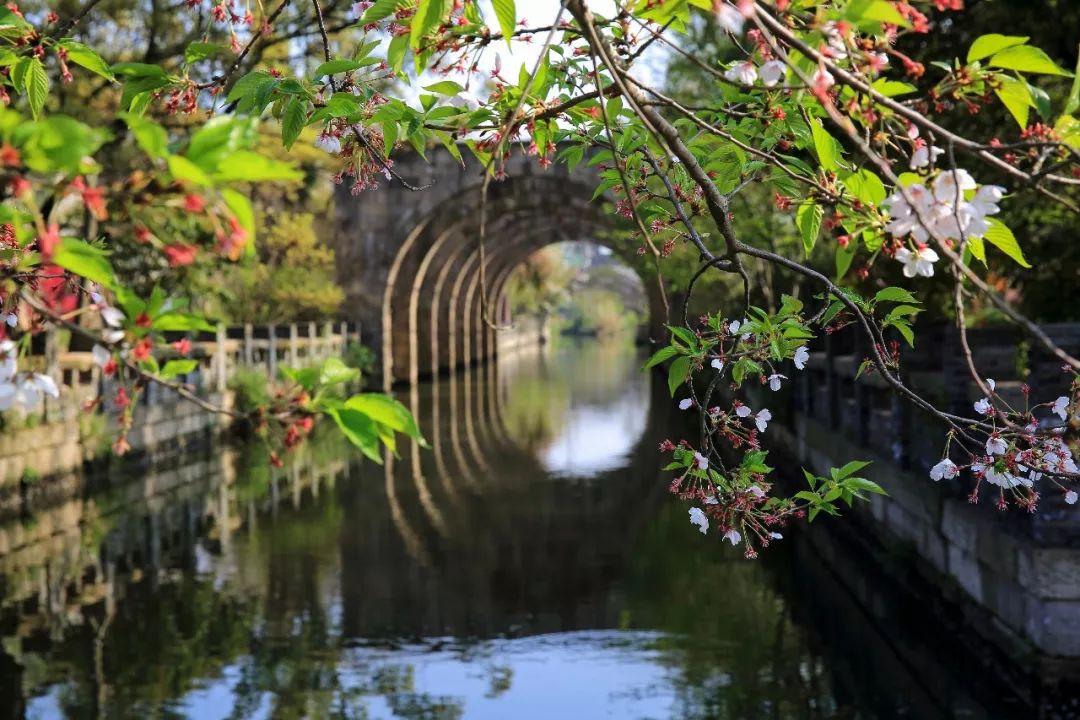 广富林遗址预约门票多少钱,小松探园门票