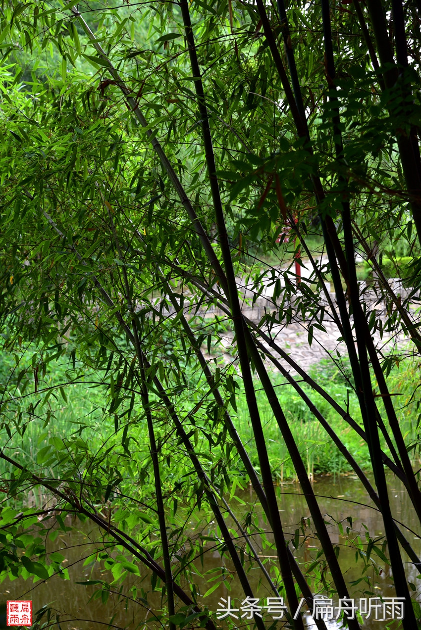 洛阳神灵寨住宿,洛阳神灵寨旅游预约时间