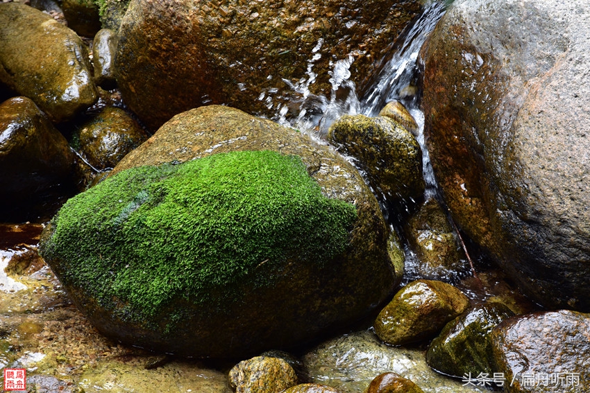 洛阳神灵寨住宿,洛阳神灵寨旅游预约时间