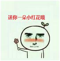 网赚十大骗人项目,网赚有哪些可靠的项目