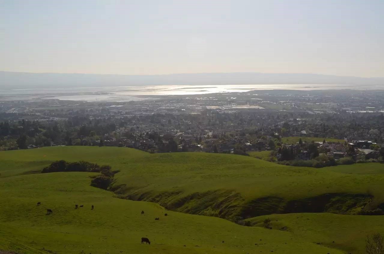 你眼中的美国是个什么样的国家,你眼中的美国是什么样的