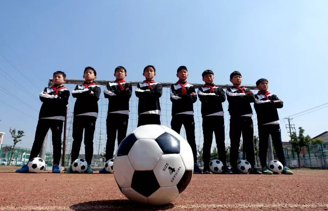 看了小学教育的视频有什么感悟,看了小学学校的发展纪实后的感言