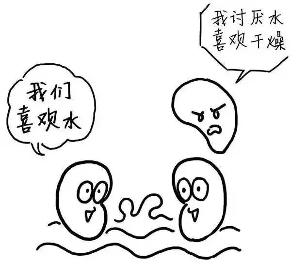 广东人为什么湿气重不能吃辣,广东人喜欢喝汤是因为湿气重