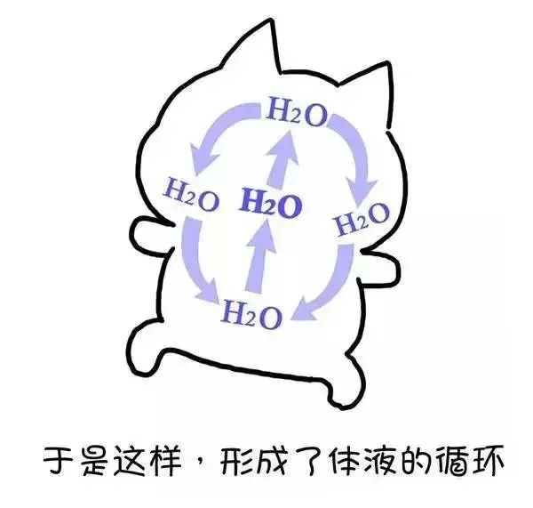 广东人为什么湿气重不能吃辣,广东人喜欢喝汤是因为湿气重