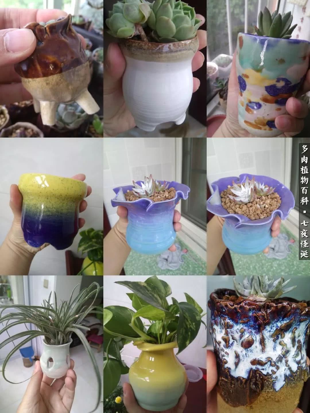 怎样做多肉盆手工,在家怎么制作多肉盆
