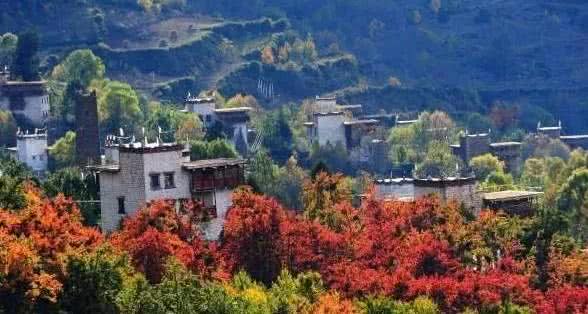 川西哪里的森林草甸好看,川西森林湖泊溪流草甸