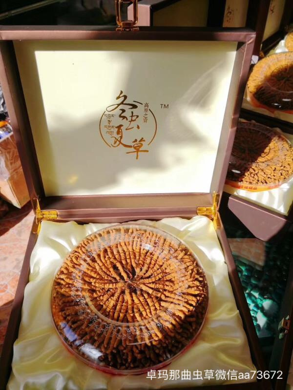 经常遗精是不是肾阳虚,频繁遗精肾阳虚还是肾阴虚