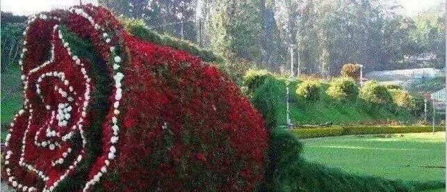 这份群祝福编得太好了吧！快送给群友们乐一乐！