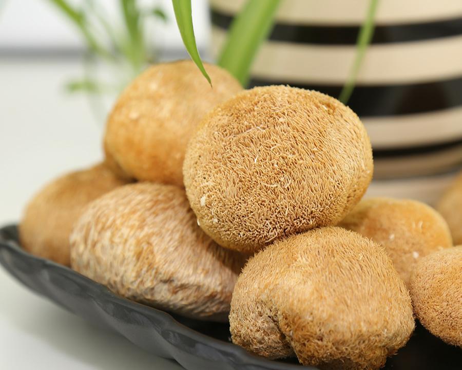 猴头菇榛蘑,猴头菌蘑菇