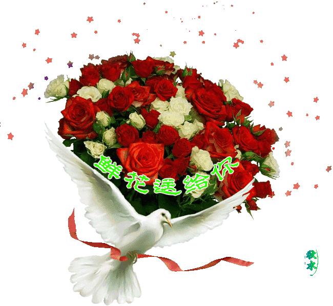 描写枫林诗苑的诗句,枫林诗苑对联大全