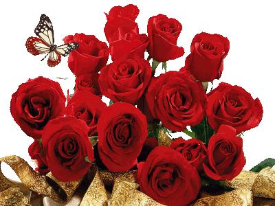 描写枫林诗苑的诗句,枫林诗苑对联大全