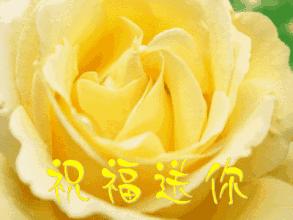 描写枫林诗苑的诗句,枫林诗苑对联大全