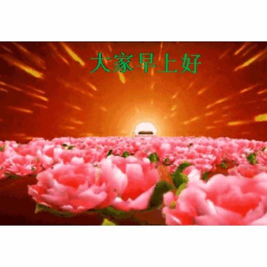 描写枫林诗苑的诗句,枫林诗苑对联大全