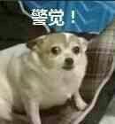 种草不鸡肋好物,种草不露脸好物推荐