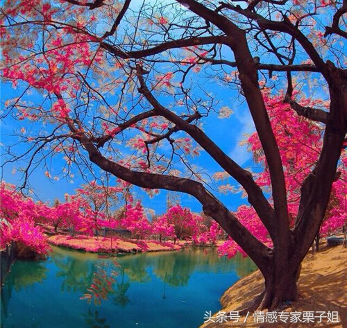 你们这些女人那，发了花痴就治不好