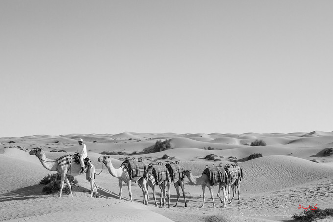 迪拜左手沙漠右手大海飞跃千里为你来——今夕传媒旅行家出品